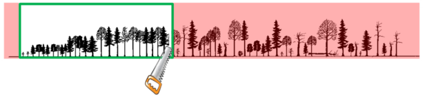 Grafik alte Waldbestände / Altholzinseln