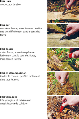 Détermination du stade de décomposition à l’aide de la méthode du couteau suisse